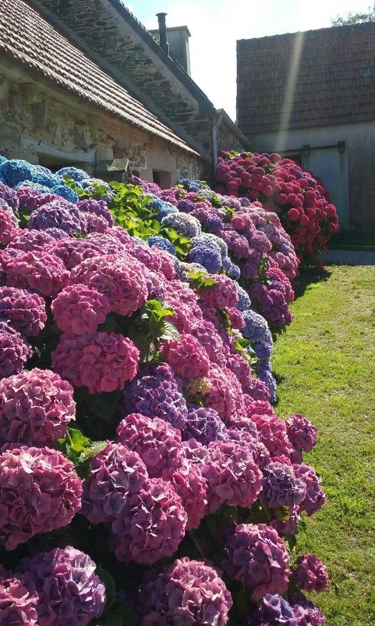 La Ferme De Lec'H Hameury Panzió Plestin-les-Grèves Kültér fotó