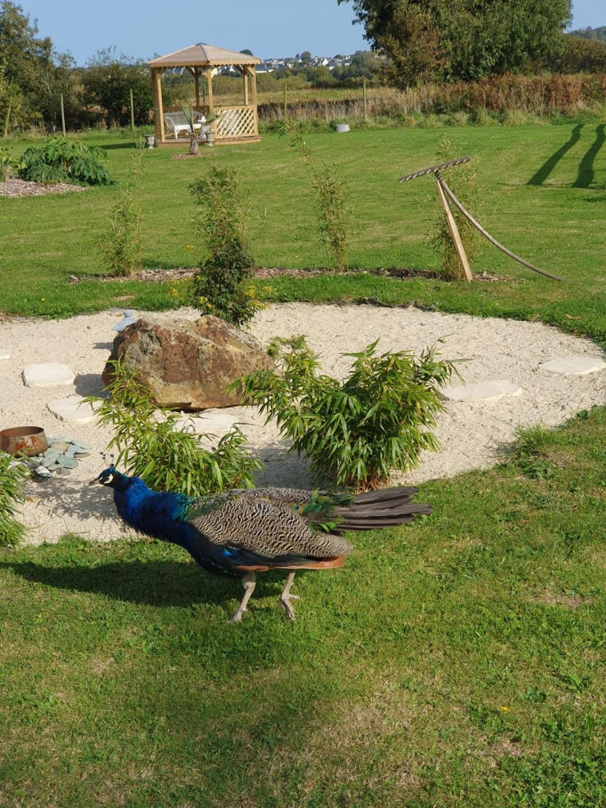 La Ferme De Lec'H Hameury Panzió Plestin-les-Grèves Kültér fotó